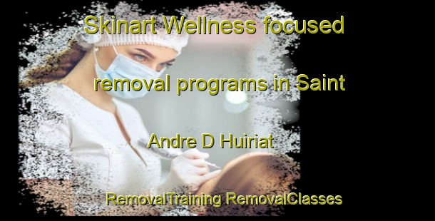 Skinart Wellness-focused removal programs in Saint Andre D Huiriat | #RemovalTraining #RemovalClasses #SkinartTraining-France