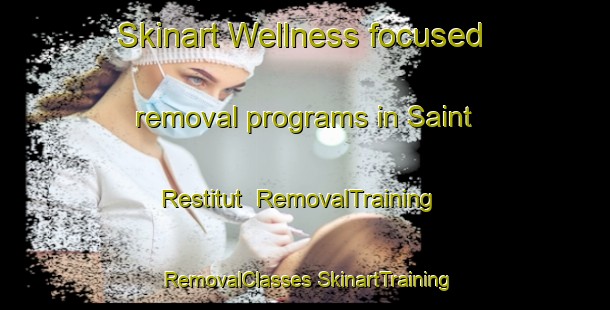 Skinart Wellness-focused removal programs in Saint Restitut | #RemovalTraining #RemovalClasses #SkinartTraining-France