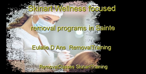 Skinart Wellness-focused removal programs in Sainte Eulalie D Ans | #RemovalTraining #RemovalClasses #SkinartTraining-France