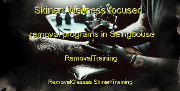 Skinart Wellness-focused removal programs in Seingbouse | #RemovalTraining #RemovalClasses #SkinartTraining-France