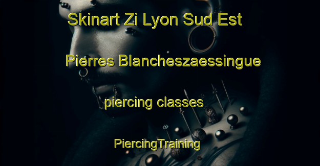 Skinart Zi Lyon Sud Est Pierres Blancheszaessingue piercing classes | #PiercingTraining #PiercingClasses #SkinartTraining-France