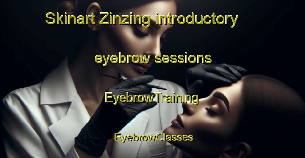 Skinart Zinzing introductory eyebrow sessions | EyebrowTraining | EyebrowClasses | SkinartTraining-France