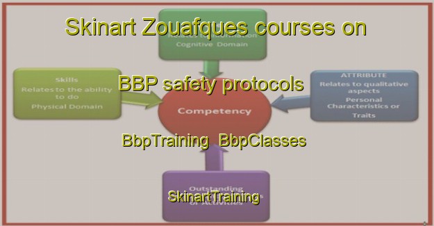 Skinart Zouafques courses on BBP safety protocols | BbpTraining | BbpClasses | SkinartTraining-France